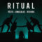 Tiësto, Jonas Bloe & Rita Ora – Ritual