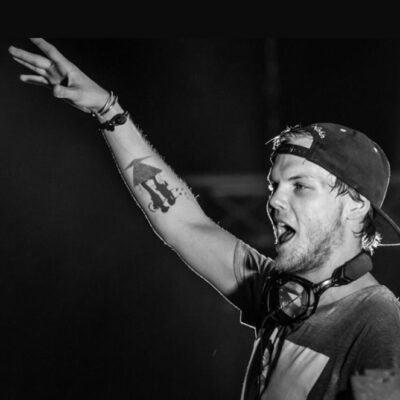 Wake me Up cancion dance de la década